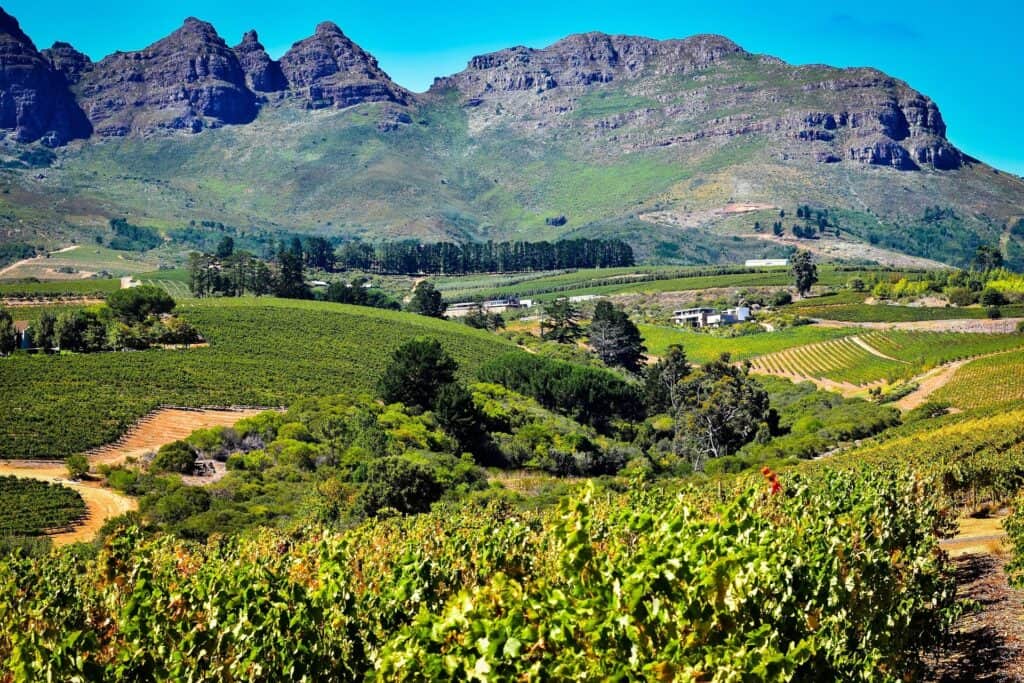 Südafrika Fernreise Angebot 2025 Südafrika Reiseangebot 2025 mit Deiner Reiseberatung in Varel, Gebirge