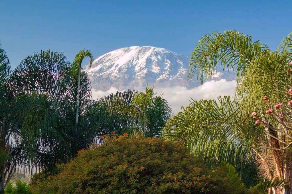 tansania Reise Kilimandscharo