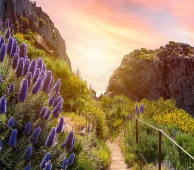 madeira sommer urlaubsreise, wanderweg in den bergen